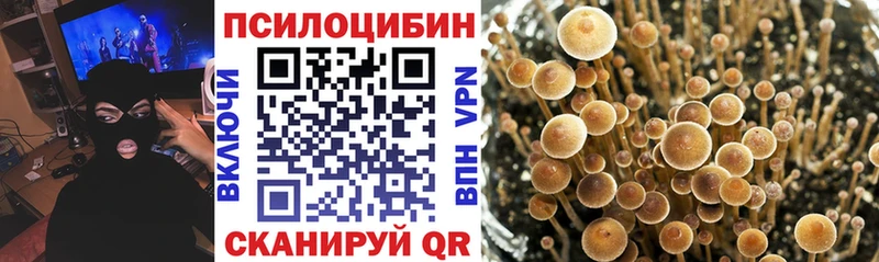 маркетплейс как зайти  Ленинградская  Псилоцибиновые грибы ЛСД  мега зеркало 